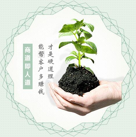 蔬菜種子經(jīng)營(yíng)，商道即人道