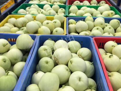 蔬菜種子種植戶客戶點評-5元1斤，這個新品種真香甜！