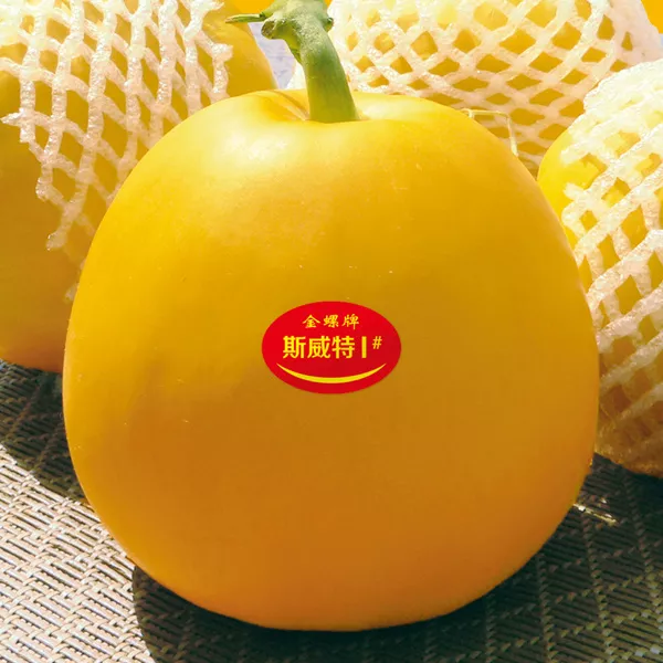 薄皮甜瓜，哪個品種最好呢？畝產(chǎn)高達(dá)10萬，附4種市場爆款品種