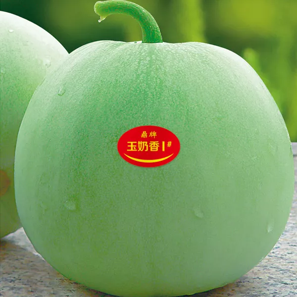薄皮甜瓜，哪個品種最好呢？畝產(chǎn)高達(dá)10萬，附4種市場爆款品種