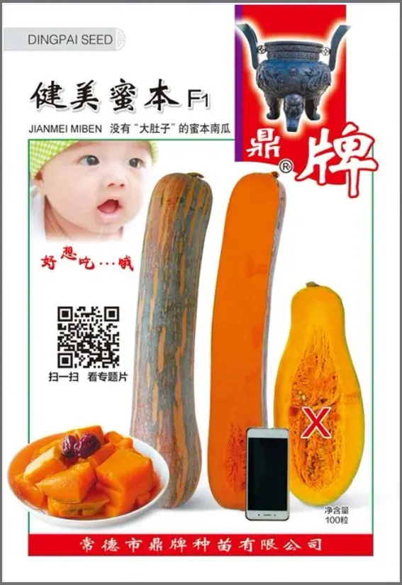 3元1斤的健美蜜本南瓜快成熟了，緬甸種植戶發(fā)來(lái)圖片與視頻