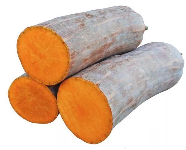 生吃都好吃南瓜新品種，沒有大肚子，肉質(zhì)更密致，農(nóng)戶試種下