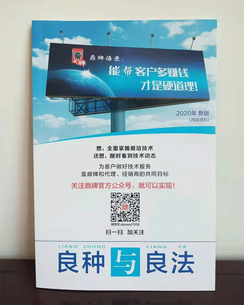 河南焦作的李向林今年種植甜瓜新品種，客戶直接拉貨走人