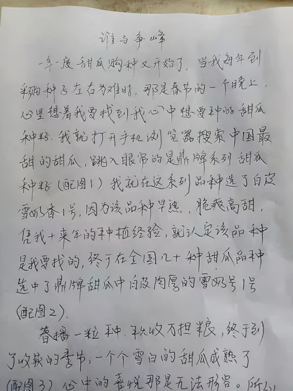 河南焦作的李向林今年種植甜瓜新品種，客戶直接拉貨走人