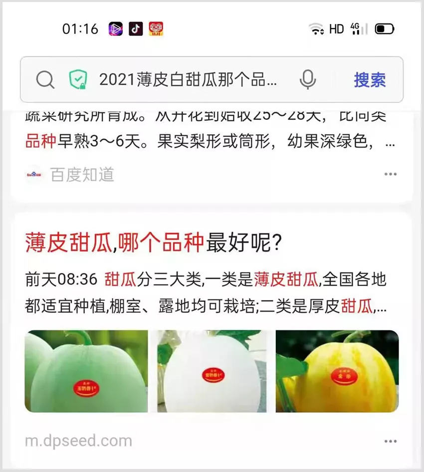 河南焦作的李向林今年種植甜瓜新品種，客戶直接拉貨走人