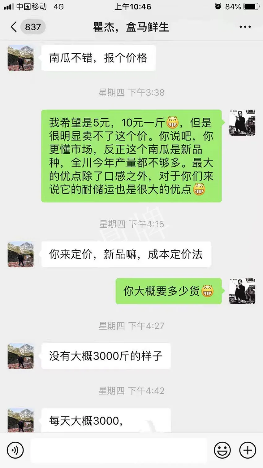 四川農(nóng)戶今年種“健美蜜本”南瓜產(chǎn)量高，品質(zhì)好，感覺巴適得很