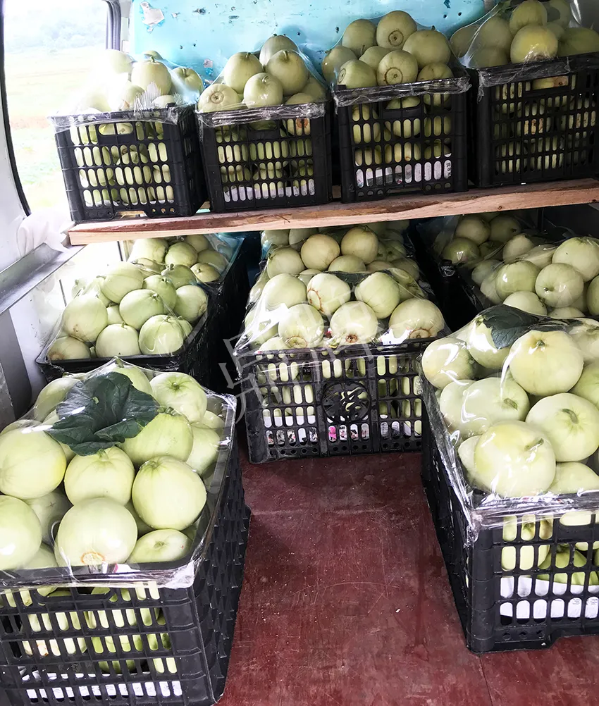 郴州農戶種植新品種，果實又香又甜，很好賣